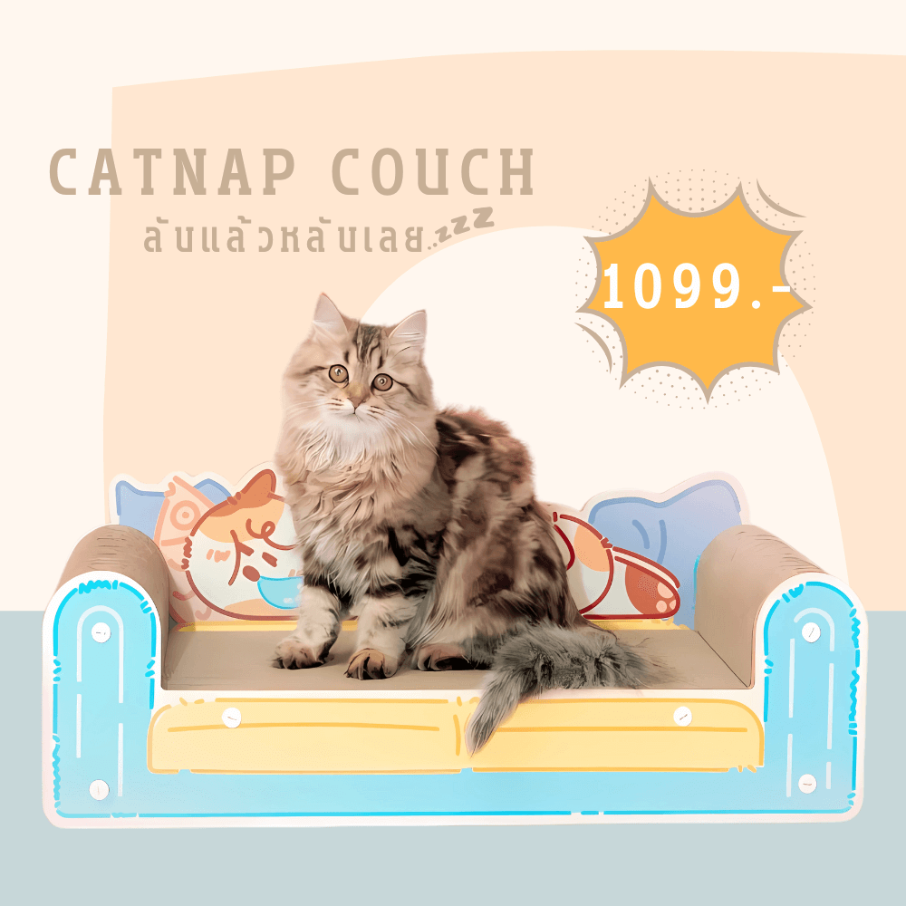 ที่ลับเล็บแมว PETELLE รุ่น PAW PAD (CATNAP COUCH)_1